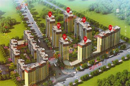 晶泽华府精装动静分离